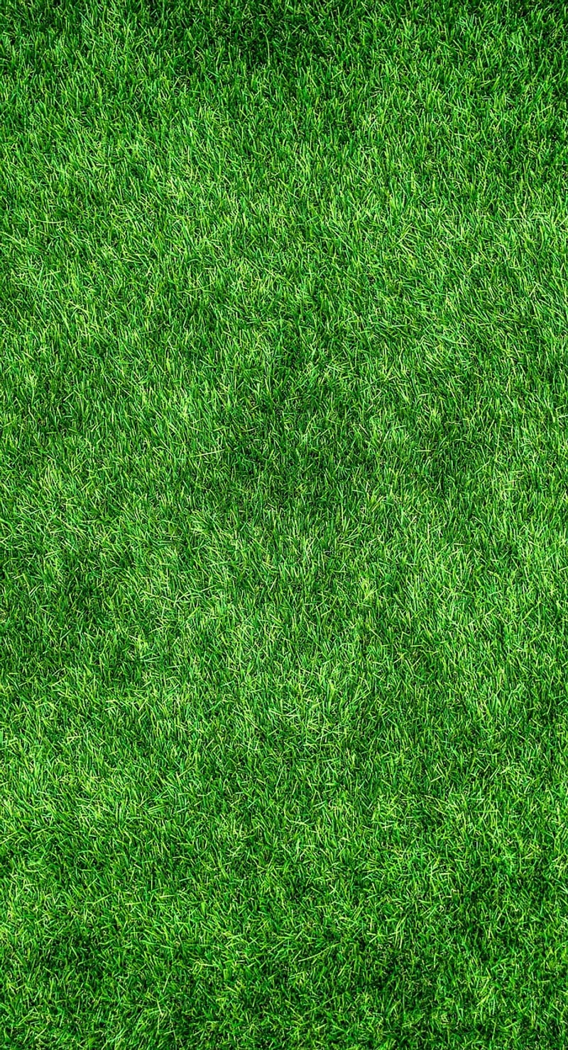 Eco-Friendly Home Projects